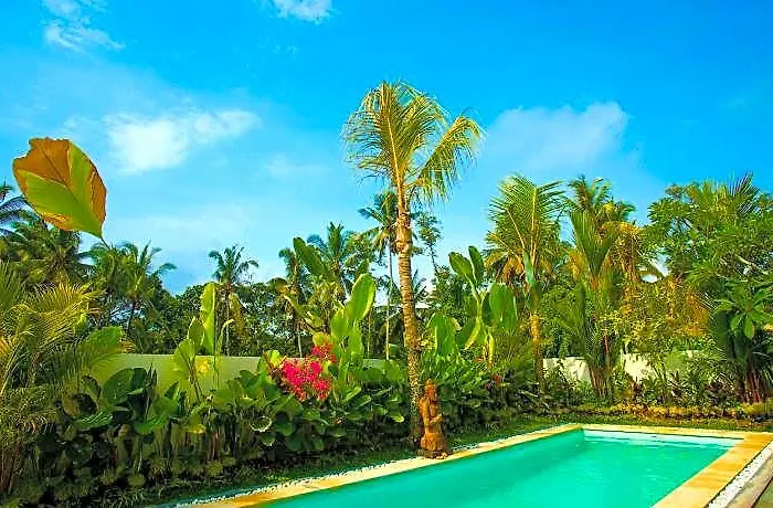 Hotel Adi Laxmi Ubud 3br 5*