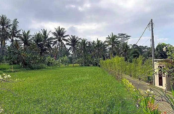 Adi Laxmi Ubud 3br Hotel 5*